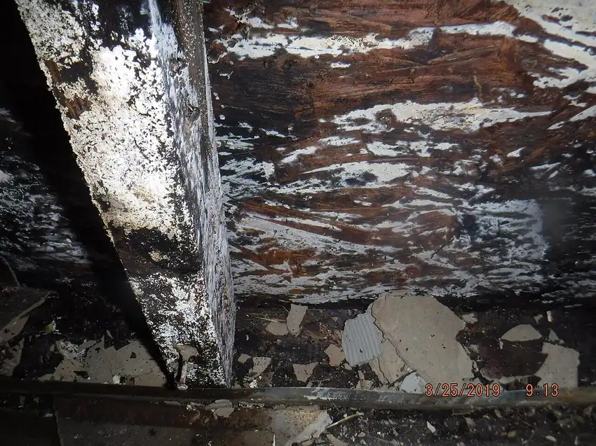 Emergency Appliance Repair in Tulsa